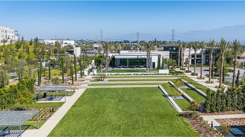 Metro Heights Aerial Park 2of2