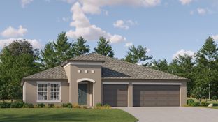 Lincoln - Balm Grove - The Executives: Wimauma, Florida - Lennar