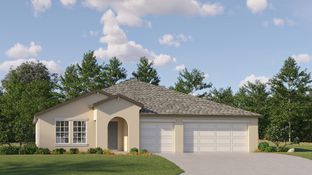 Phoenix - Balm Grove - The Executives: Wimauma, Florida - Lennar