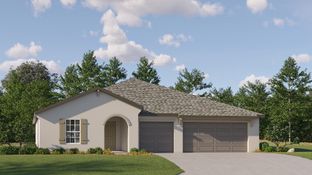 Santa Fe - Balm Grove - The Executives: Wimauma, Florida - Lennar