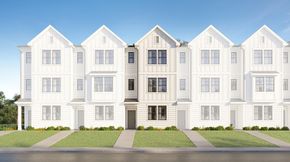 Elm Grove - City Collection - Raleigh, NC