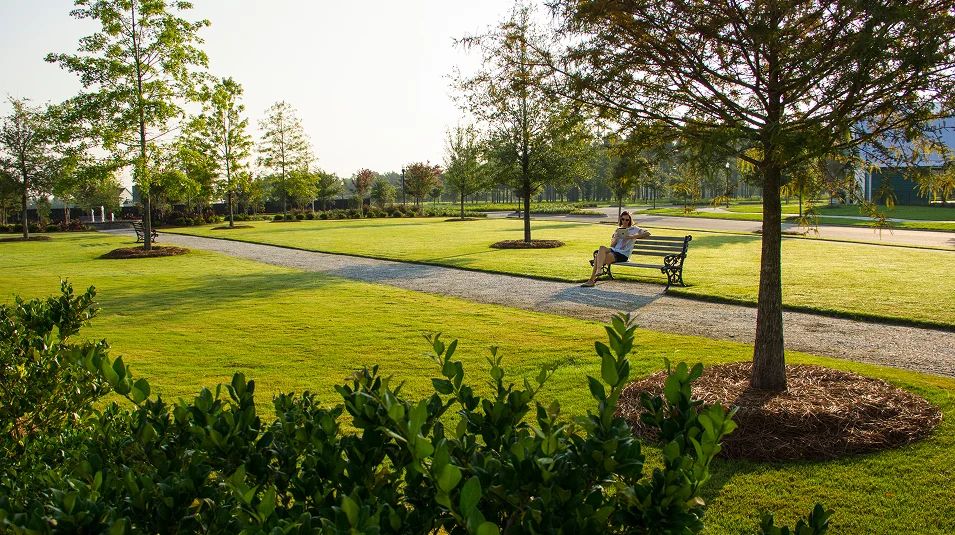 Horizons Carnes Crossroads Amenity Park 081825