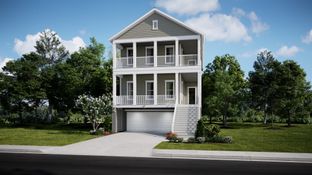 TRADD - Heron's Walk at Summers Corner - Row - Elevated Collection: Summerville, South Carolina - Lennar