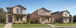 Longleaf - The Havens - New Port Richey, FL