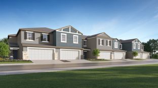 Marisol II - Seaire - The Town Executives: Parrish, Florida - Lennar