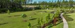 Tributary - Lakeview at Tributary 50's - Yulee, FL