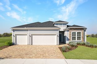 Princeton - SilverLeaf - Silver Falls 60s at SilverLeaf: St Augustine, Florida - Lennar