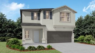 Concord - Balm Grove - The Manors East: Wimauma, Florida - Lennar