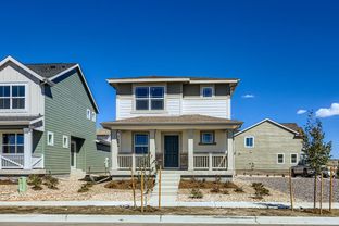 Navigator - Percheron - The Explorer Collection: Colorado Springs, Colorado - Lennar