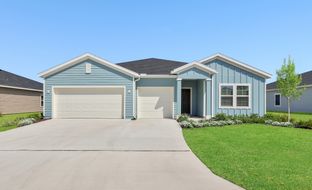 Medallion II - Saddle Oaks - Saddle Oaks 60s: Jacksonville, Florida - Lennar