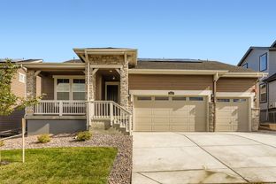 Davis - Sunset Village - The Grand Collection: Erie, Colorado - Lennar