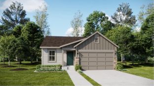 Daisy - Percheron - The Petal Collection: Colorado Springs, Colorado - Lennar