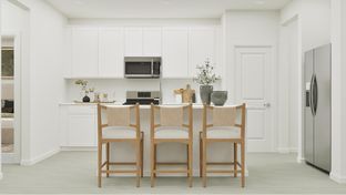 Aurora - Silver Meadows at SilverLeaf - Silver Meadows Villas: Saint Augustine, Florida - Lennar