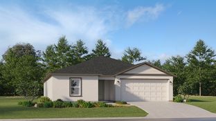 Dawn - West Lake - The Estates: Wimauma, Florida - Lennar
