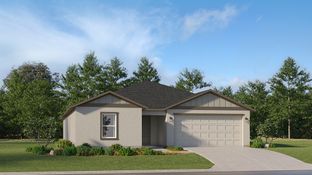 Dawn - West Lake - The Estates: Wimauma, Florida - Lennar