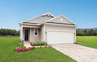 ALEXIA - SilverLeaf - SilverFalls 40s at SilverLeaf: St Augustine, Florida - Lennar