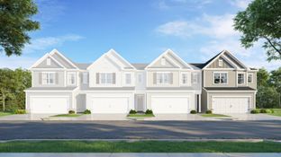 Coleman - Stella View - Ardmore Collection: Durham, North Carolina - Lennar
