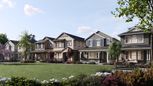 New Homes on Ava Lane - Santa Rosa, CA