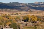 Harmony by Luxury Homes Of Northern Colorado in Fort Collins-Loveland Colorado