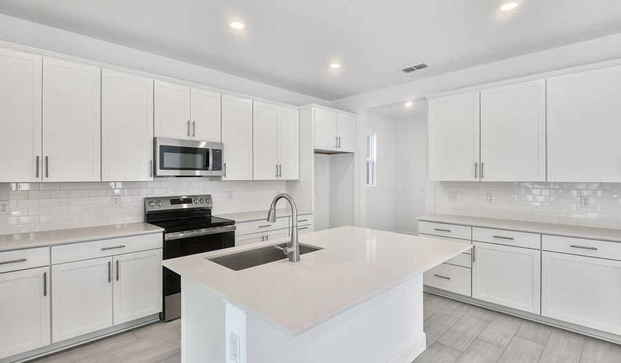 Ammolite - Seasons at Wekiva Ridge: Mount Dora, Florida - Richmond American Homes