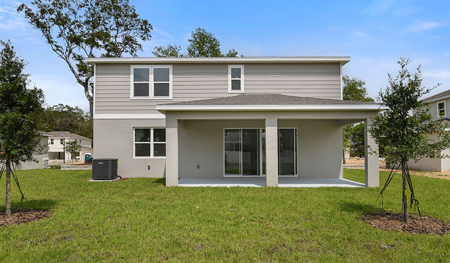 Rear Exterior