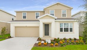 6417 Clover Street (Ammolite)