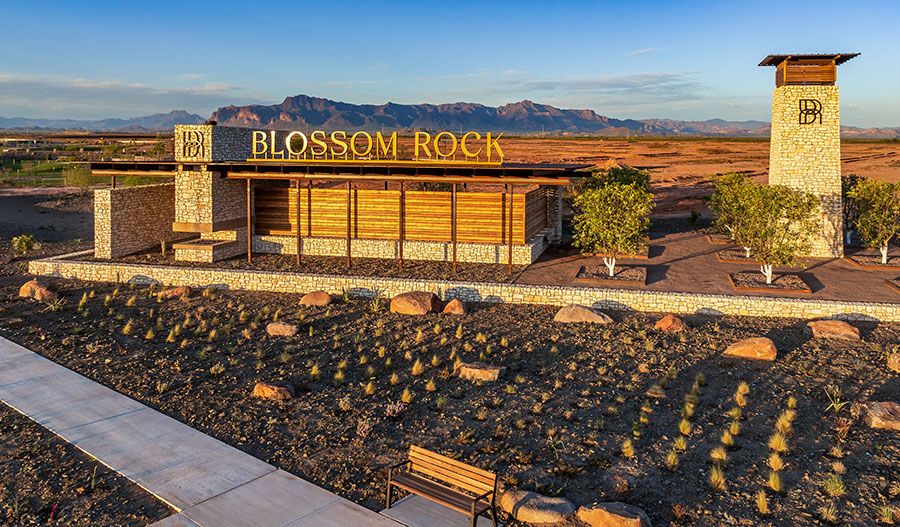 Blossom Rock Community