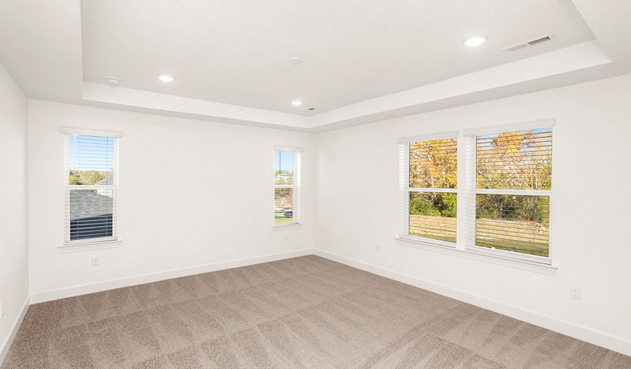 205 Acmon Blue Boulevard (Sage)