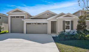 332 Alexandrite Street (Pewter)