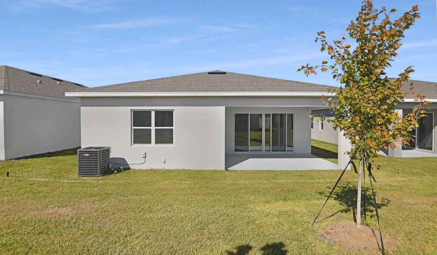 Rear Exterior