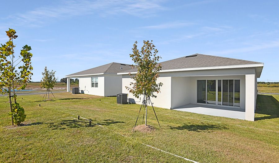 Rear Exterior