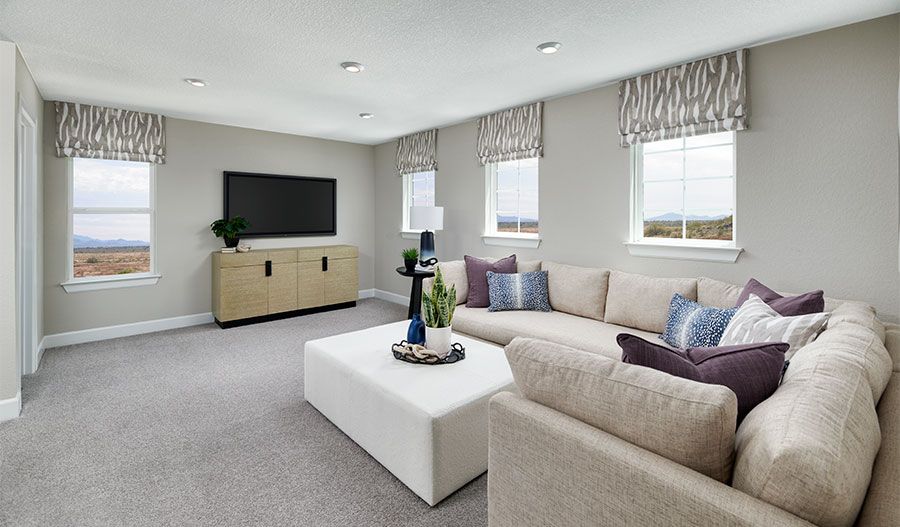 Elderberry-PHX-Loft