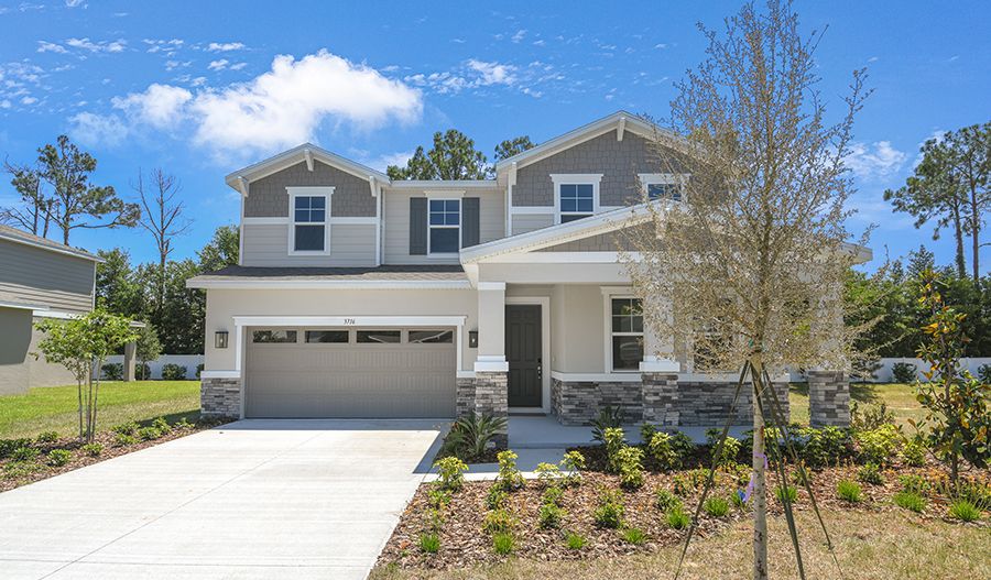 Ammolite - Seasons at Wekiva Ridge: Mount Dora, Florida - Richmond American Homes