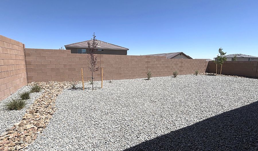 Backyard