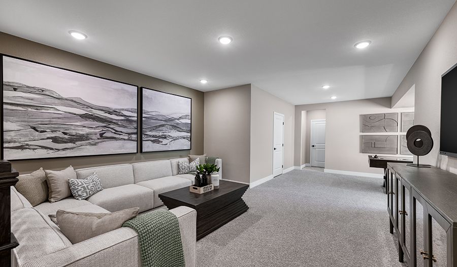 Recreation Room
