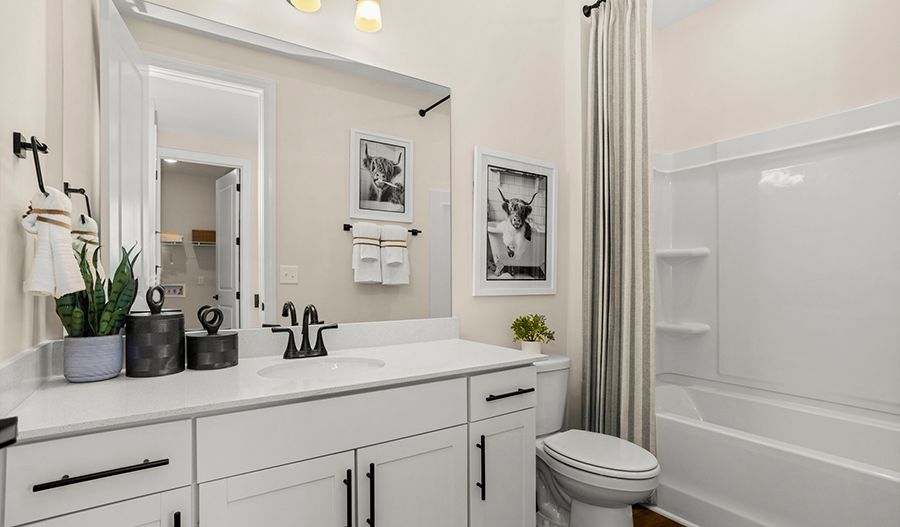 Kipling - Bathroom