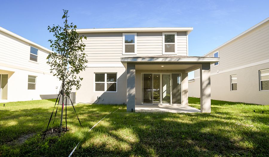 Rear Exterior