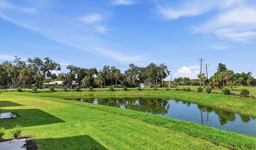Rear Exterior