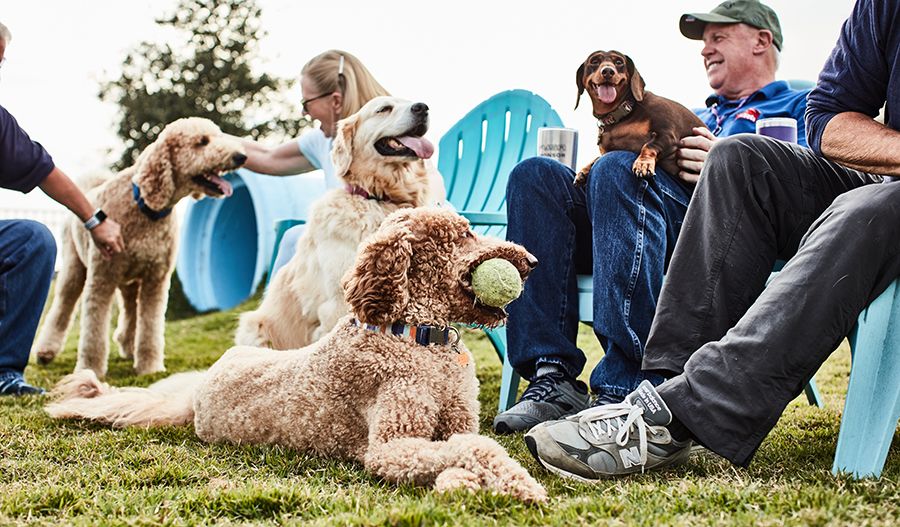 Waterset Dog Park
