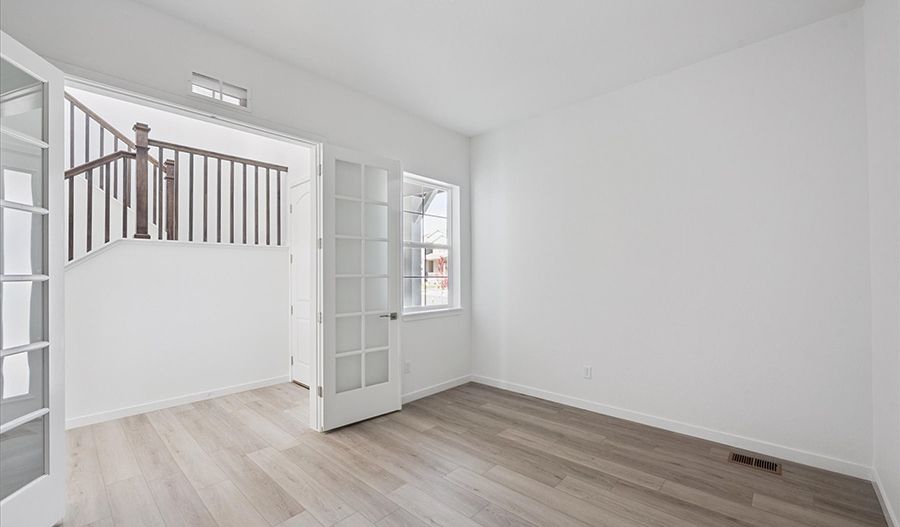 Study