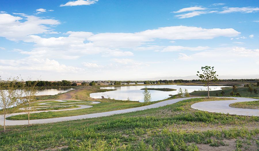 Barefoot Lakes