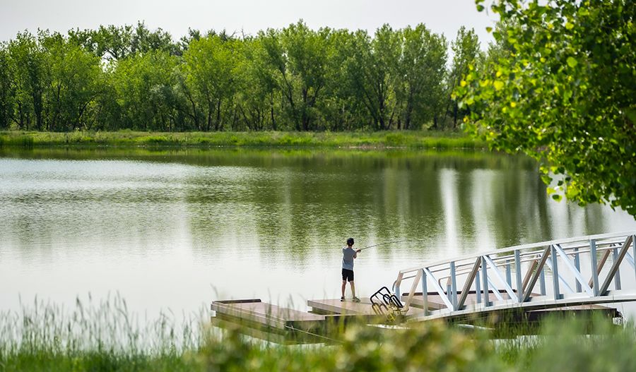 Barefoot Lakes Lake
