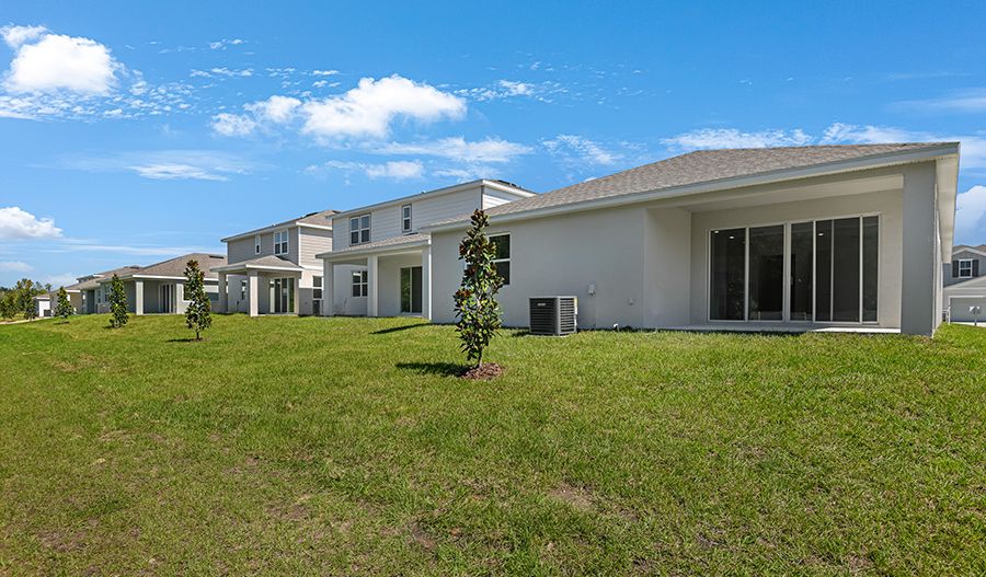 Rear Exterior
