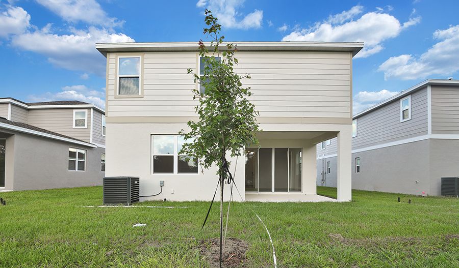 Rear Exterior