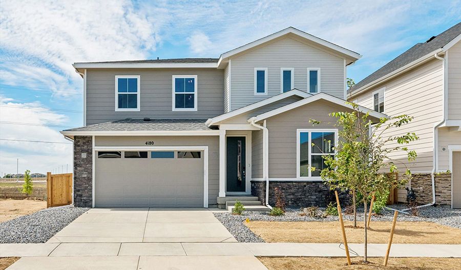 Ammolite - Brighton Crossings: Brighton, Colorado - Richmond American