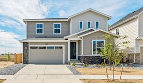 4180 Runyon Lake Street (Ammolite)