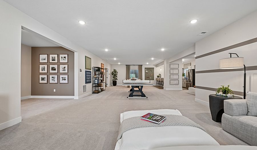 Recreation Room