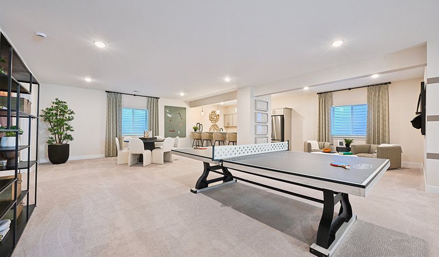 Recreation Room