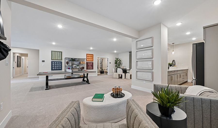 Recreation Room