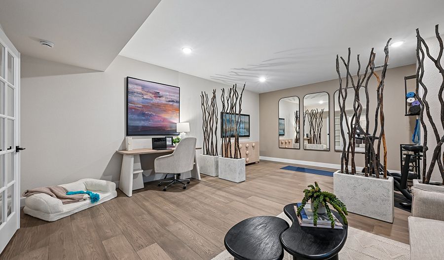 Flex Room